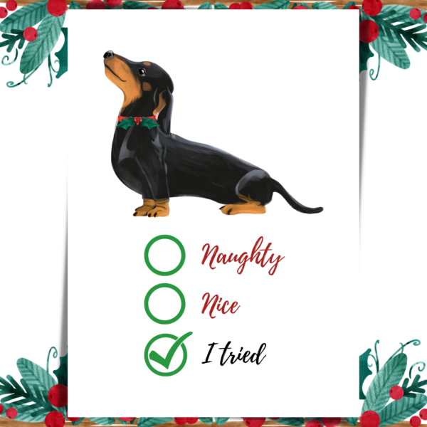 Dachsund Christmas Cards - Naughty, Nice, I tried!